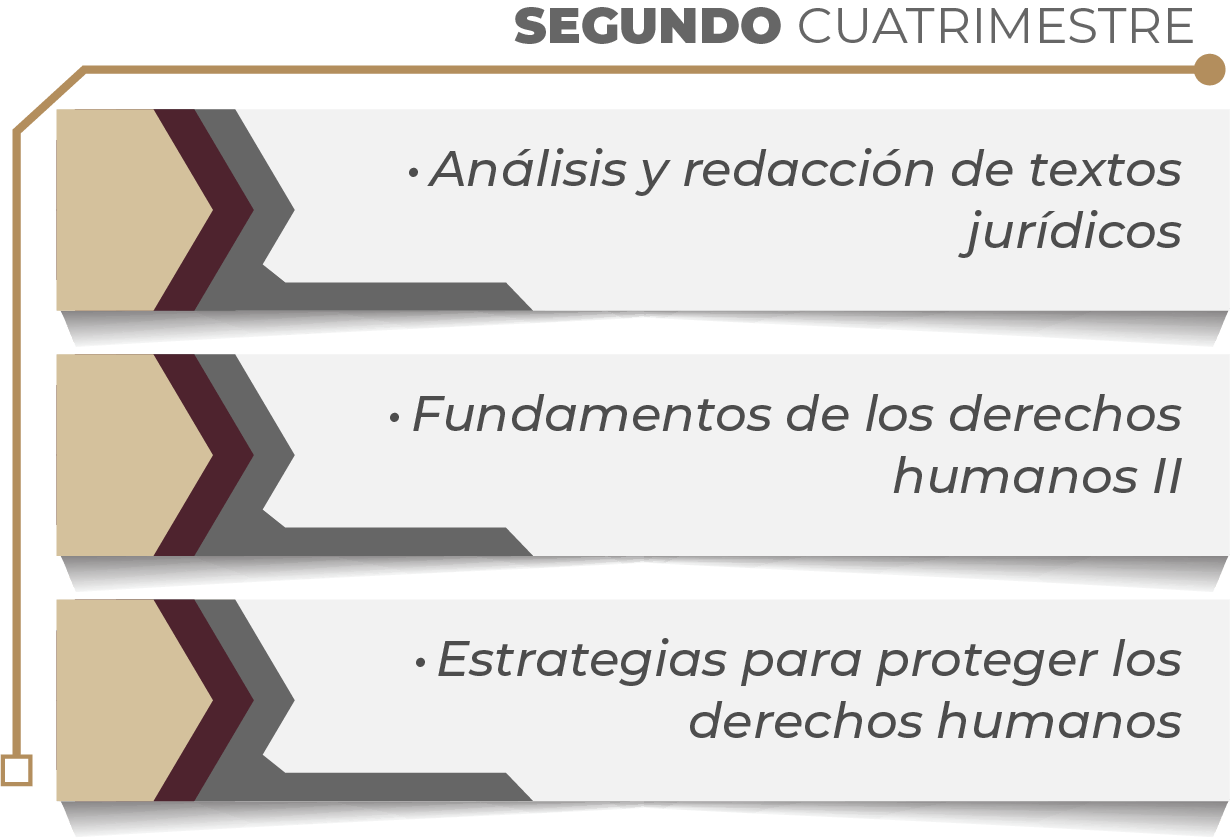 MAPA CURRICULAR GESTIÓN